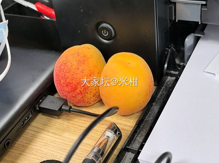 大家有没有网上买的比较好吃的杏_闲聊