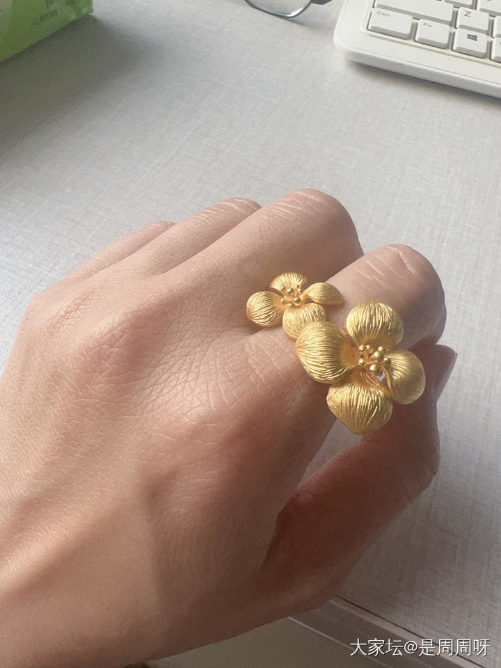 周生生绣球花，美呀~_金