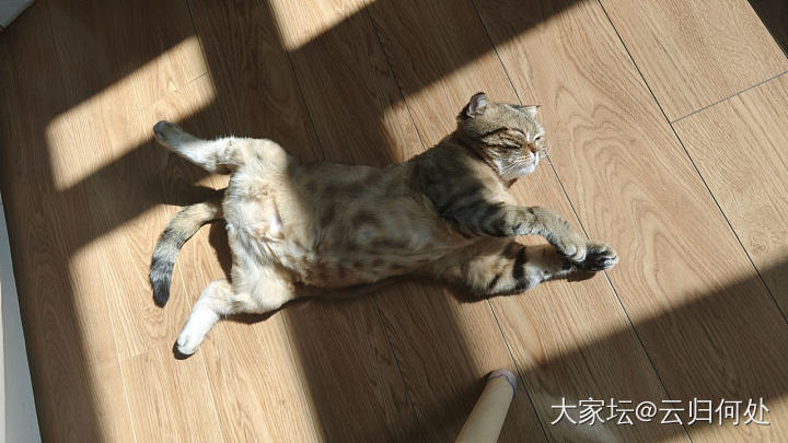 黄金不亮文玩亮哈哈嗝_水晶