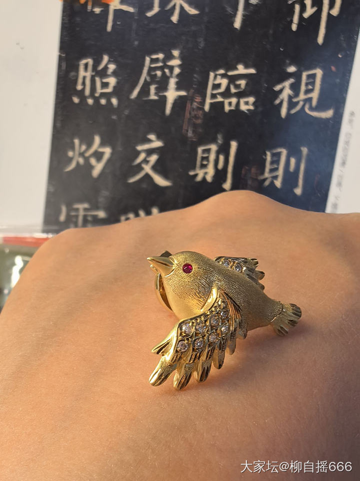 捡漏一只小肥啾❤️_镶嵌金首饰
