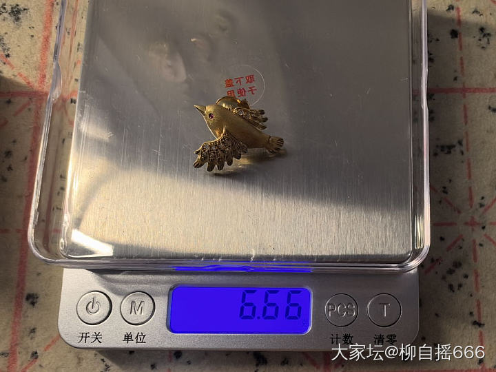 捡漏一只小肥啾❤️_镶嵌金首饰