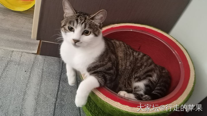 减肥第一天_减肥