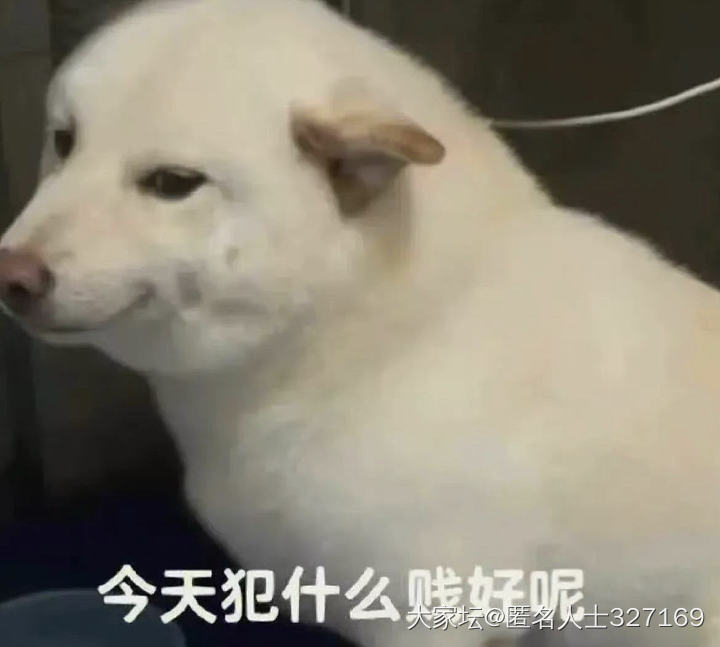 关于和同事之间的边界感_闲聊