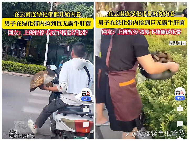 开心一刻：现在连绿化带都那么卷了吗？_闲聊