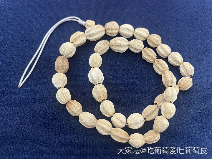 开心一刻：现在连绿化带都那么卷了吗？_闲聊