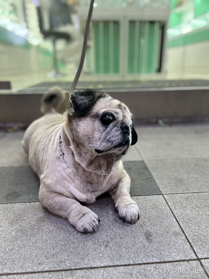被自己蠢哭了_闲聊