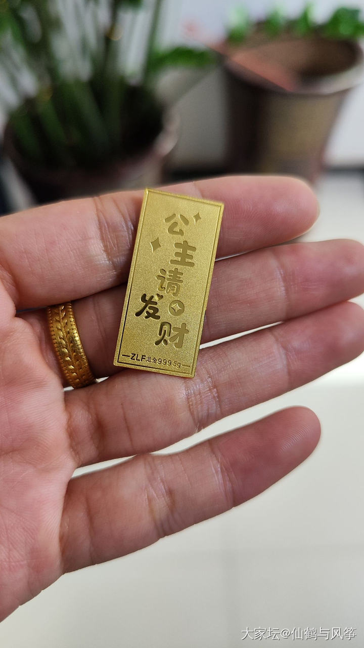 这两天薅的羊毛_金