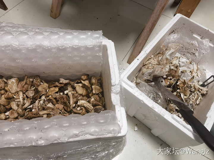 开心一刻：现在连绿化带都那么卷了吗？_闲聊