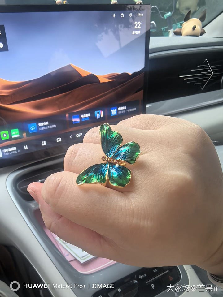 返个校长家蝴蝶🦋_金
