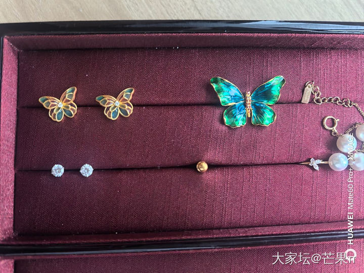 返个校长家蝴蝶🦋_金
