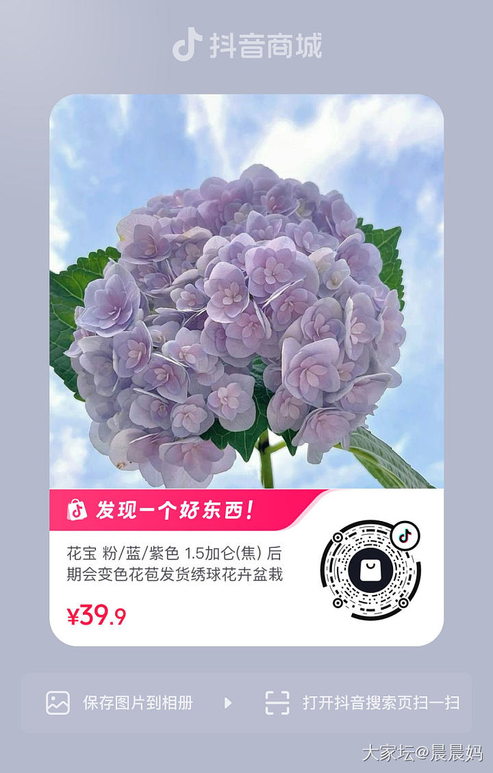 养花小能手系列_花