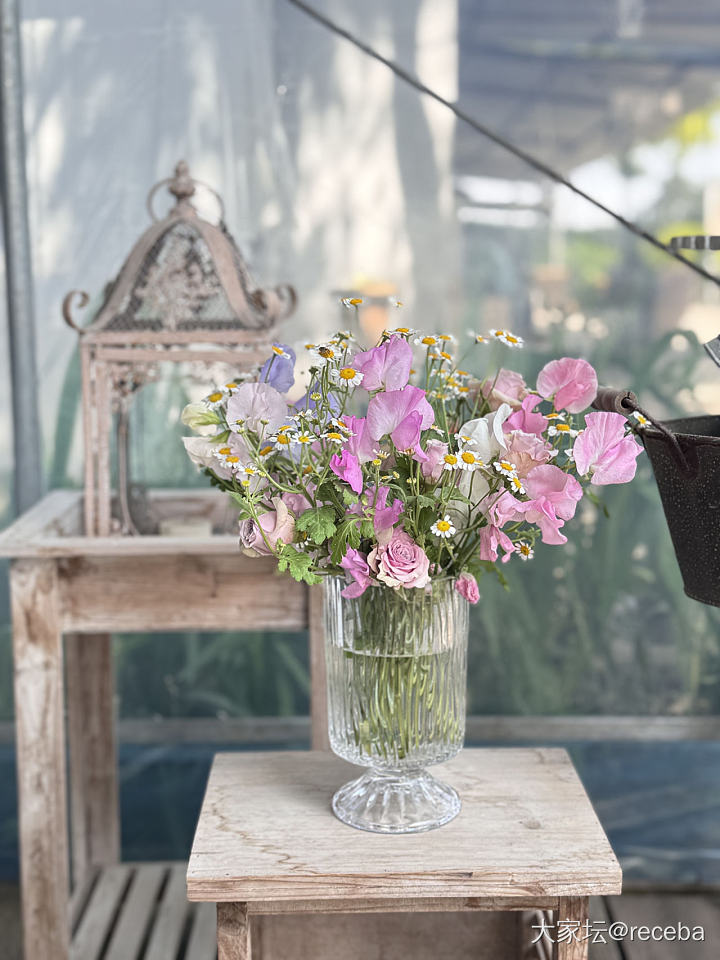 我的花儿们都挺给力_花植物