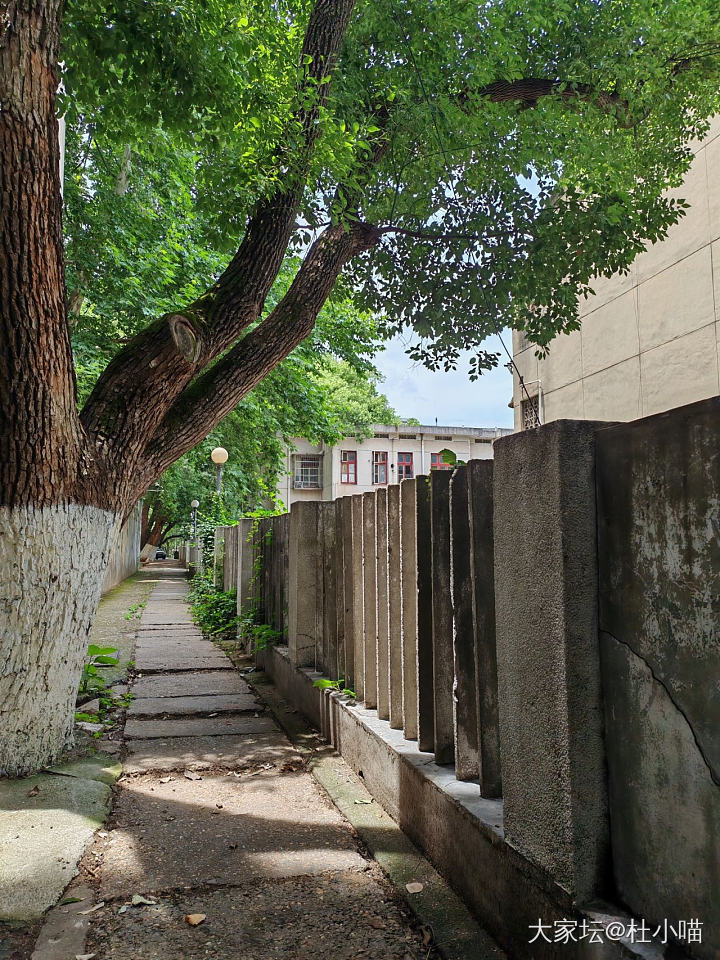感受一些治愈生活的瞬间_闲聊