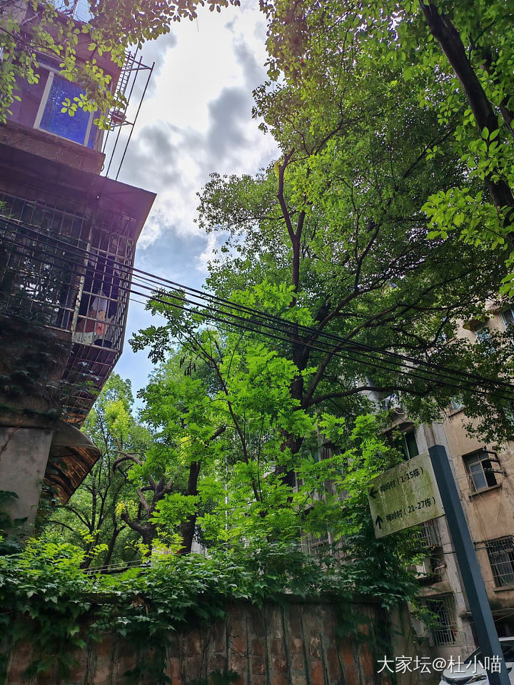 感受一些治愈生活的瞬间_闲聊
