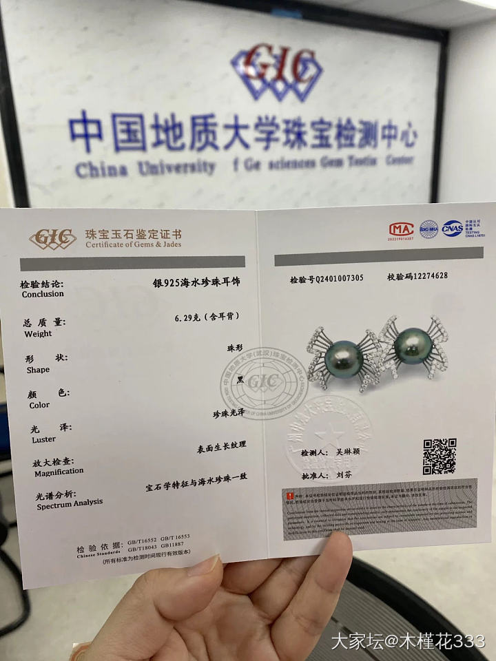 大溪地螺形孔雀绿耳钉，颜色绝美_有机宝石