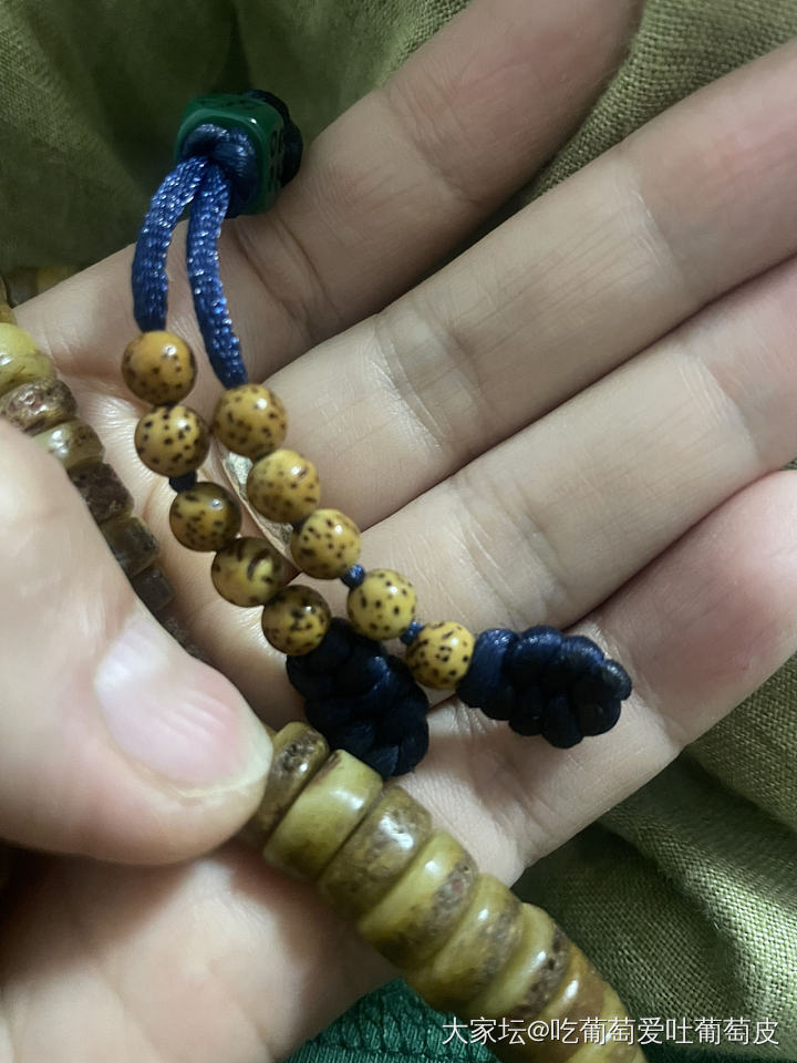 盘了一个多月到底要多久才会变色嘛_菩提子闲聊
