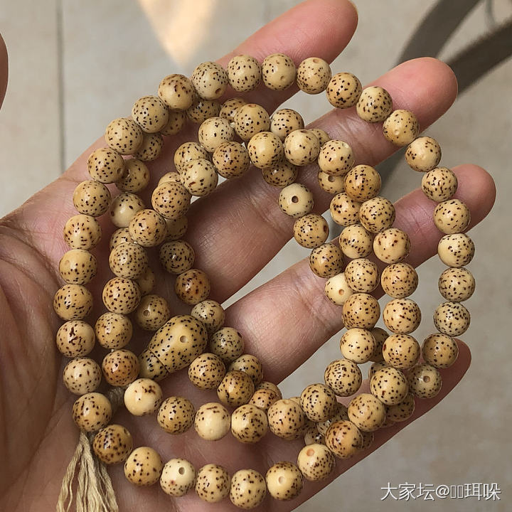 盘了一个多月到底要多久才会变色嘛_菩提子闲聊