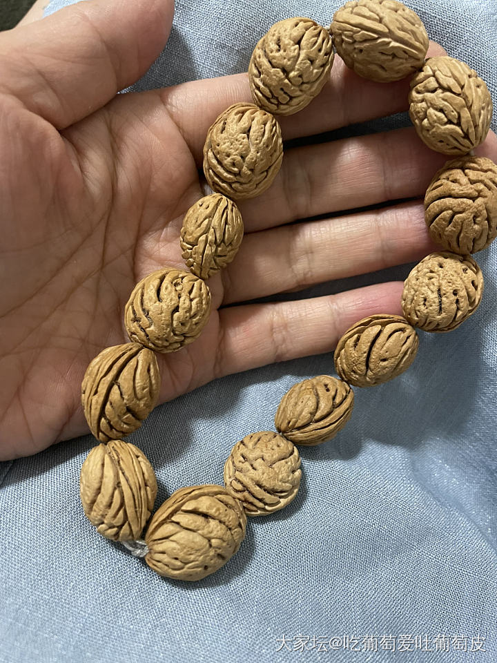 周末盘盘盘_核桃文玩