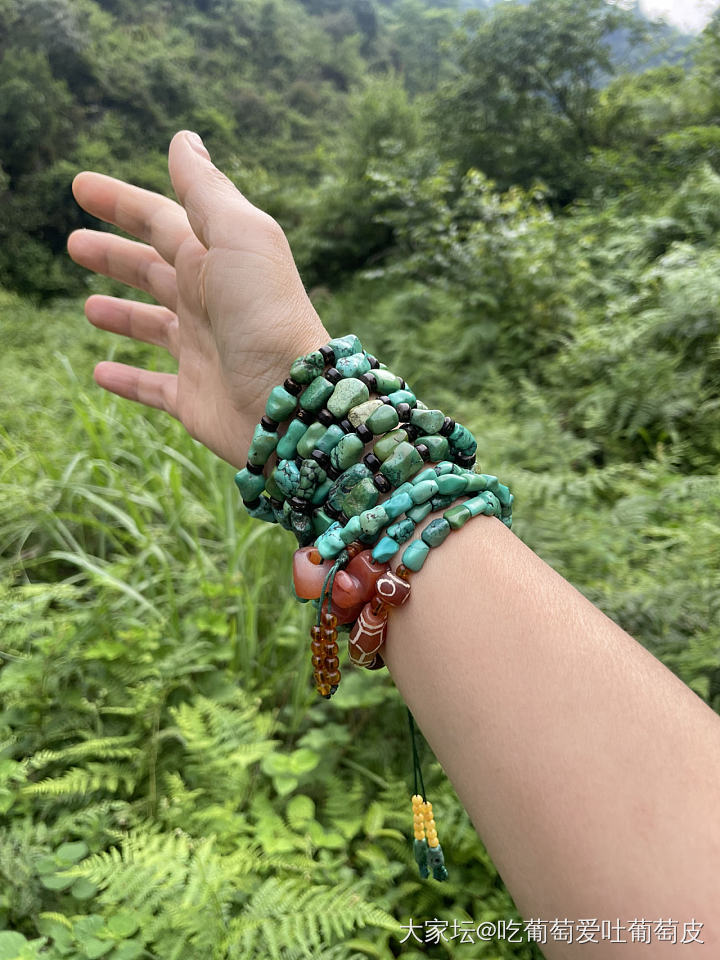 周末盘盘盘_核桃文玩