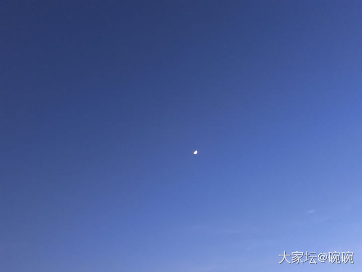 春天的小松果和夏日的🌙_闲聊