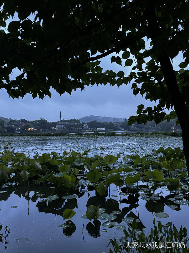 忽反顾以游目兮，将往观乎四荒。
佩缤纷其繁饰兮，芳菲菲其弥章。_闲聊