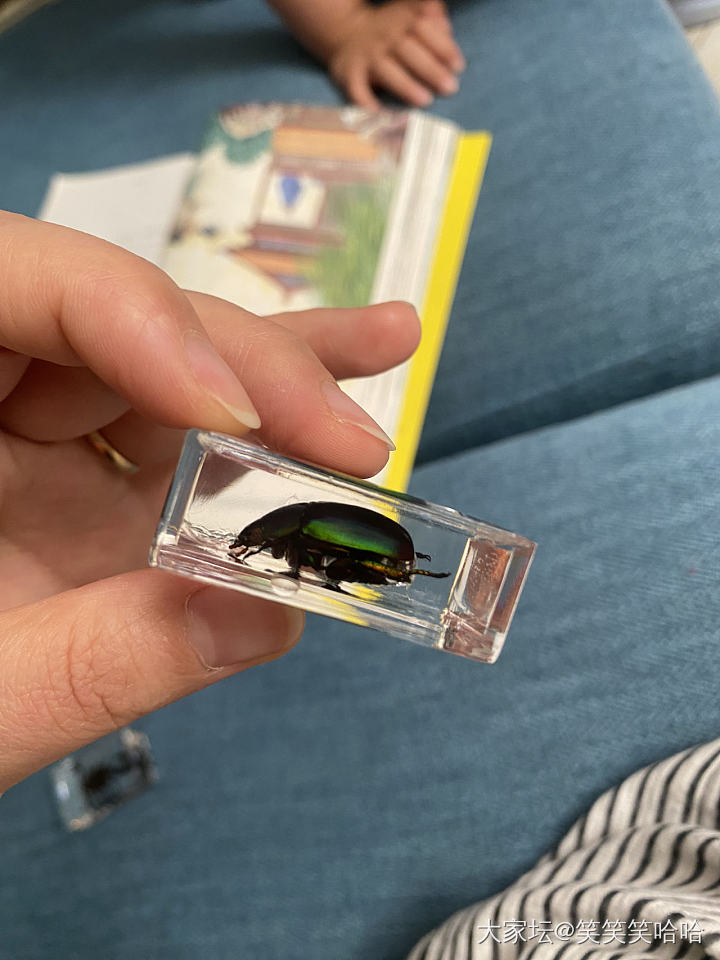 最近突然对苎麻感兴趣_穿搭
