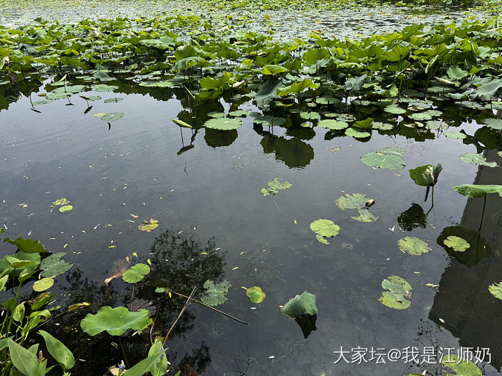 气温坐火箭升起来啦_手镯银