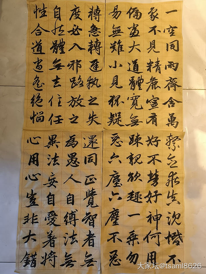自学书法一年半了_书法