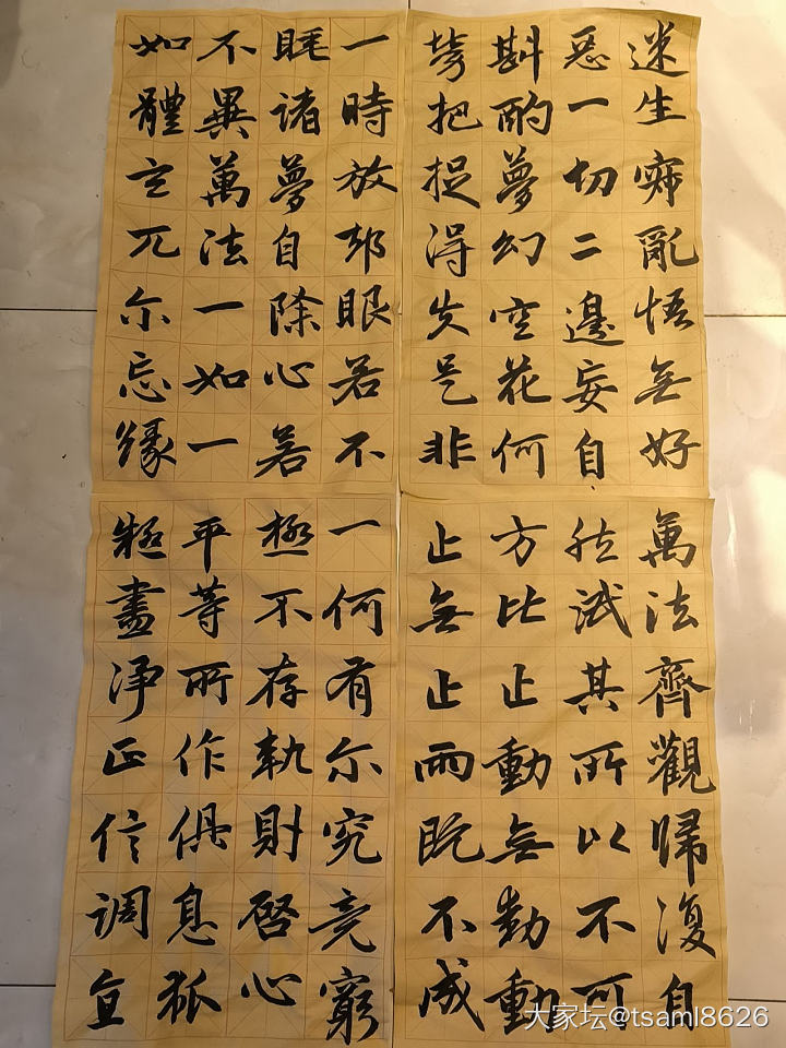 自学书法一年半了_书法