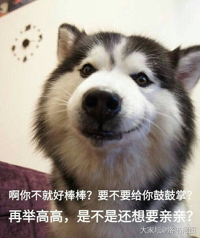 爱存不存宇宙行真是烂死了_闲聊