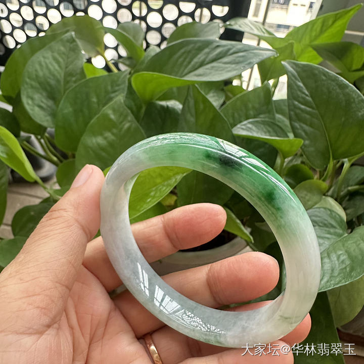 放漏-辣绿白底青59.5mm_翡翠