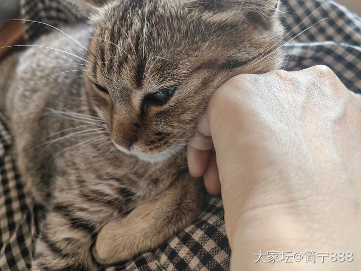 吃瓜搭子_宠物闲聊