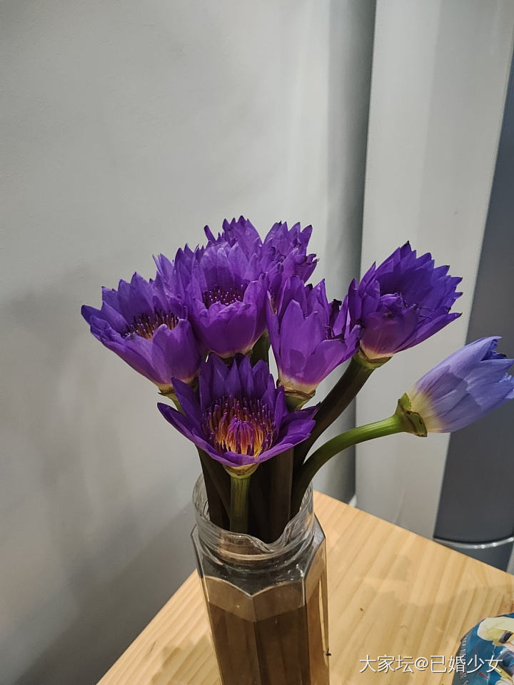 最近买花上瘾了_花