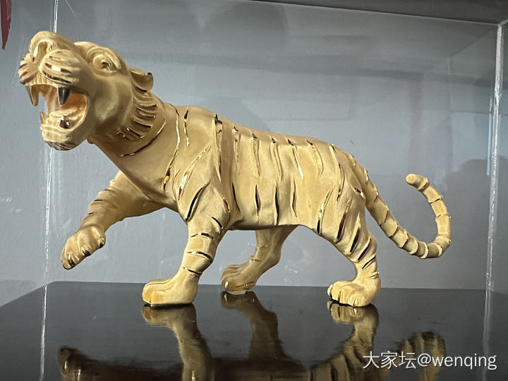 这金老虎威风又拉风_金