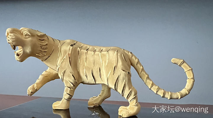 这金老虎威风又拉风_金
