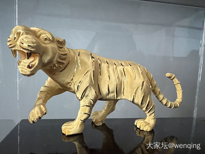 这金老虎威风又拉风_金