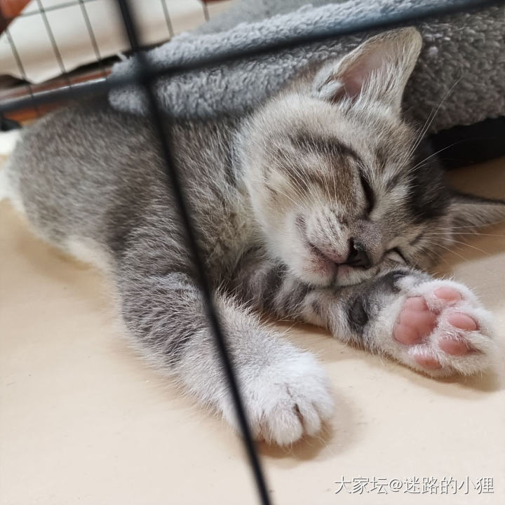 求推荐个好用的移动小空调…_家电