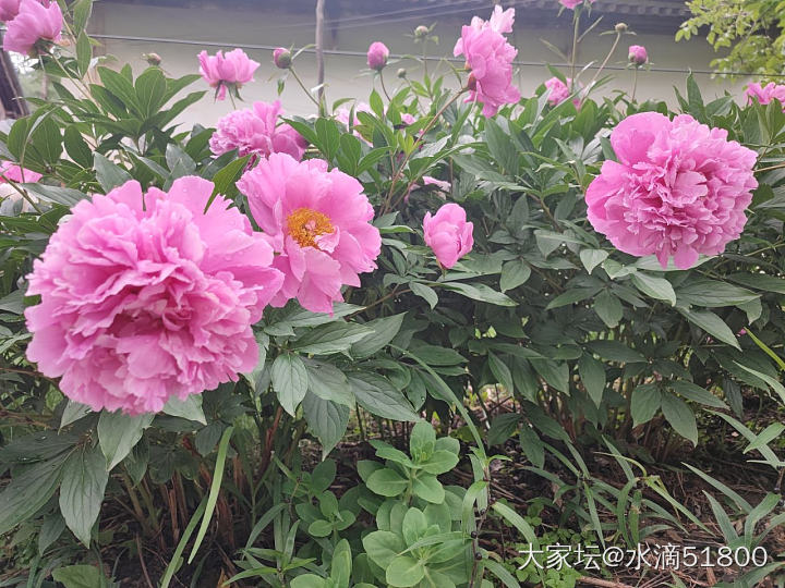 猜昆虫_昆虫