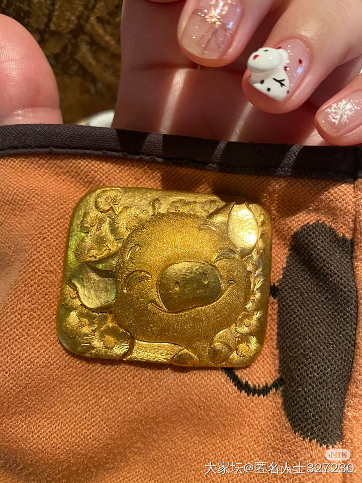 多功能猪猪牌_金