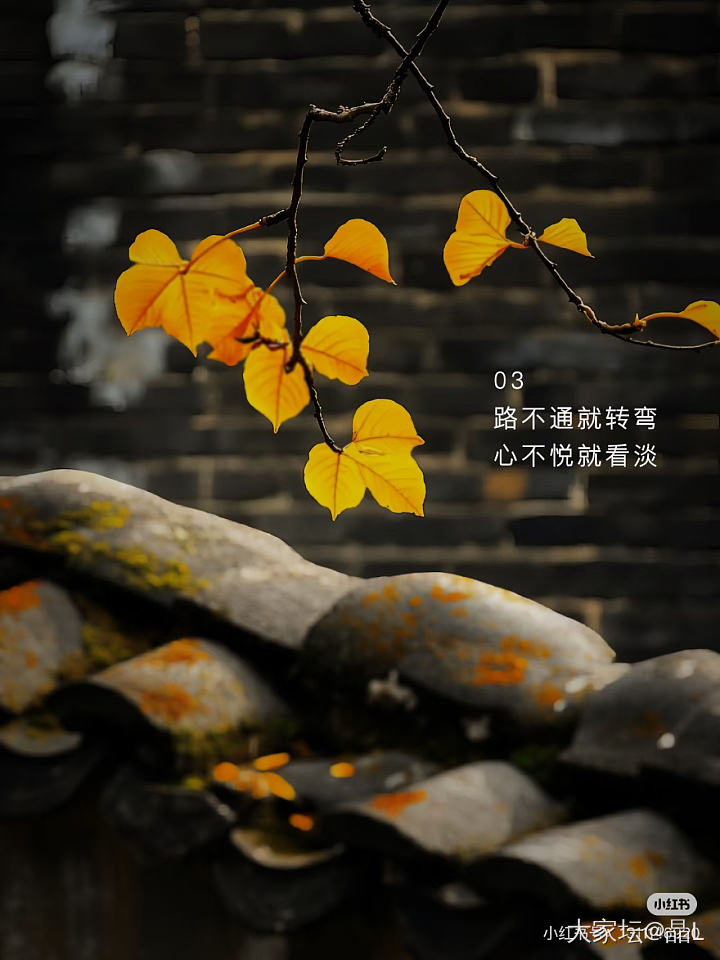 这个世界上从来没有感同身受，你可以抱怨，也可以消沉，甚至可以崩溃，但是你们一定得..._闲聊