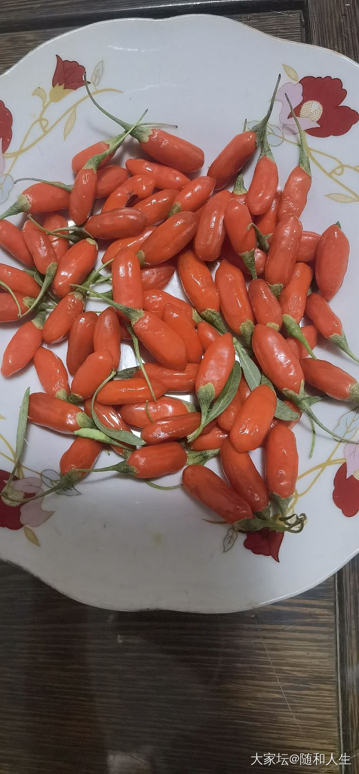 生活不止是珠宝，买个新鲜枸杞尝尝鲜_美食
