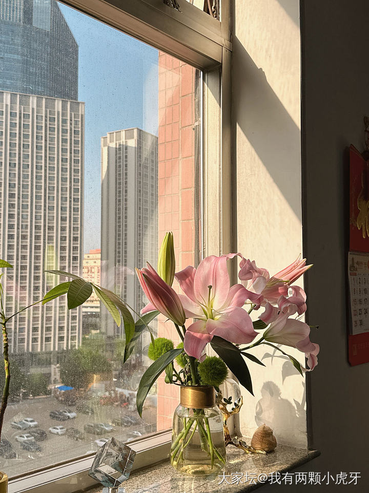 办公桌上的花_花