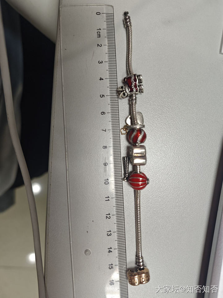 有没有姐妹想换潘多拉蛇骨链?_手饰K金