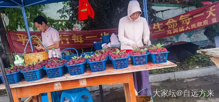 又爱又恨的_闲聊