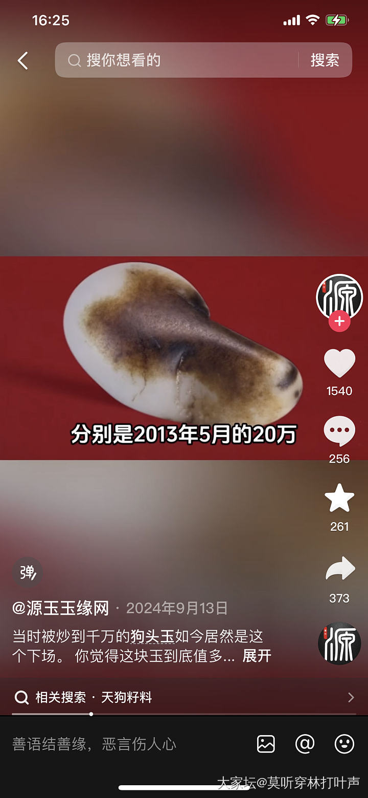 你们有没有看到一只凤凰飞过去？_金