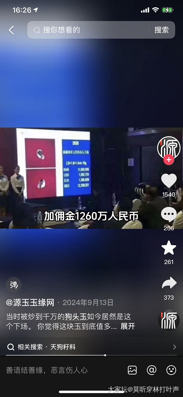 你们有没有看到一只凤凰飞过去？_金