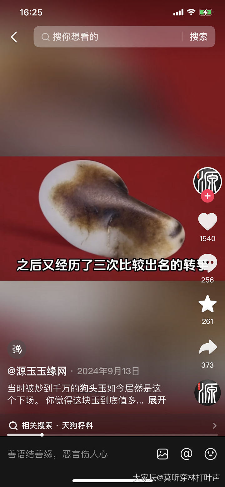 你们有没有看到一只凤凰飞过去？_金