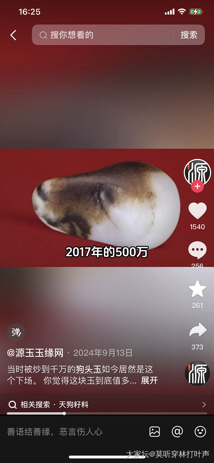 你们有没有看到一只凤凰飞过去？_金