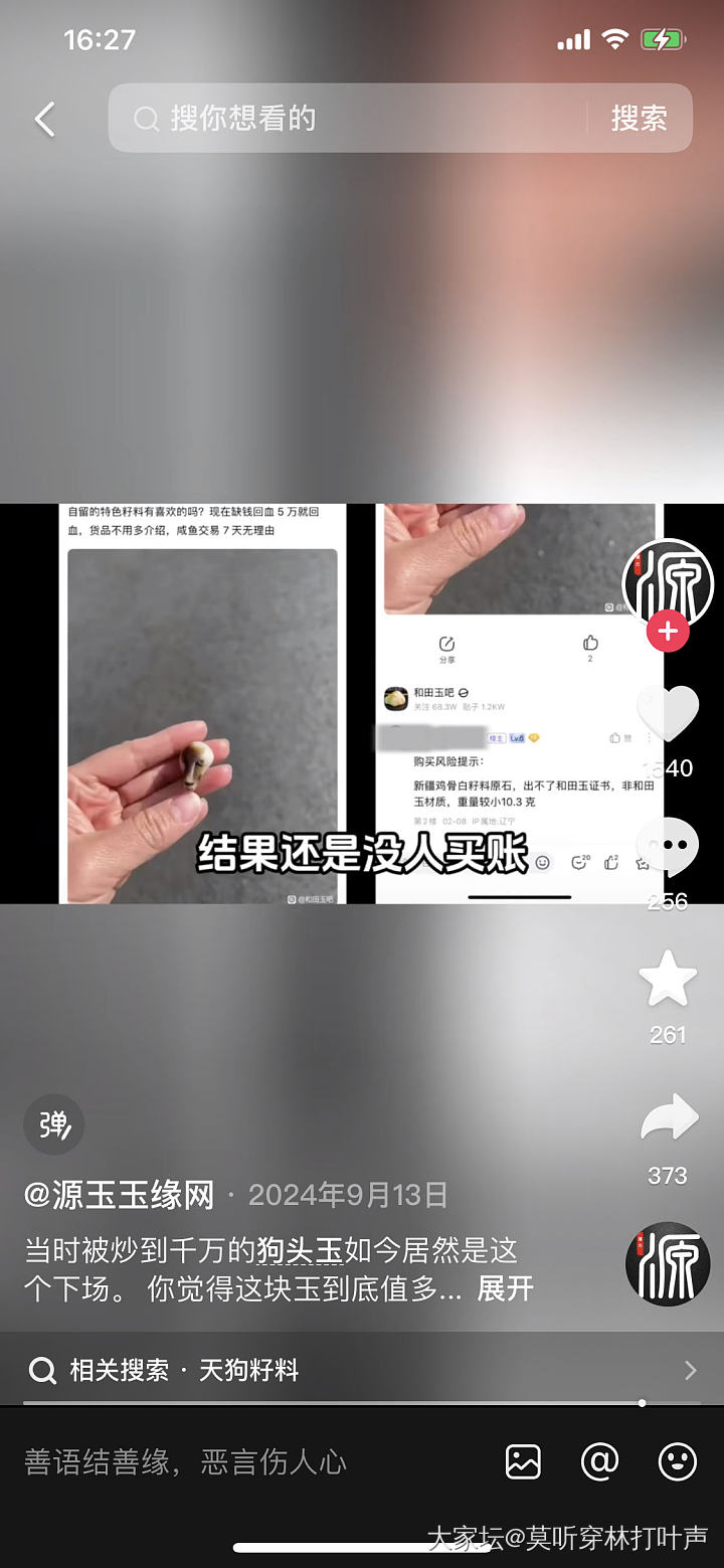 你们有没有看到一只凤凰飞过去？_金