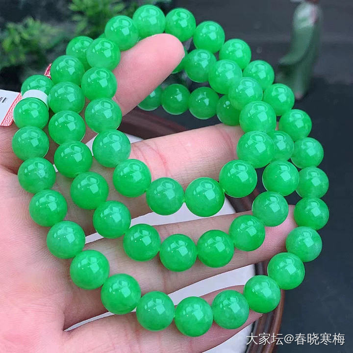 新入的一串绿翡翠，好好看_翡翠